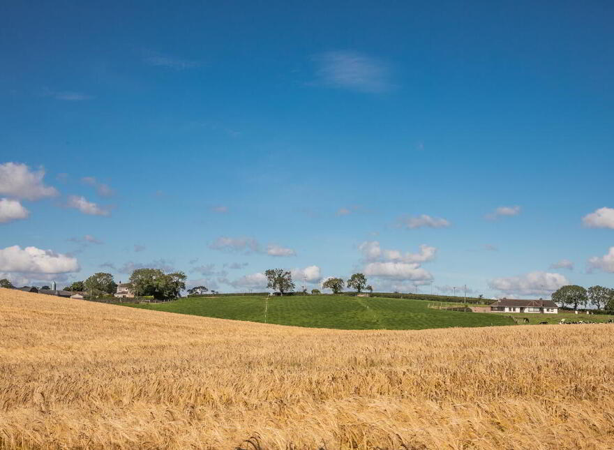 Church View, 543 Belfast Road, Crawfordsburn, Bangor, BT19 1UJ