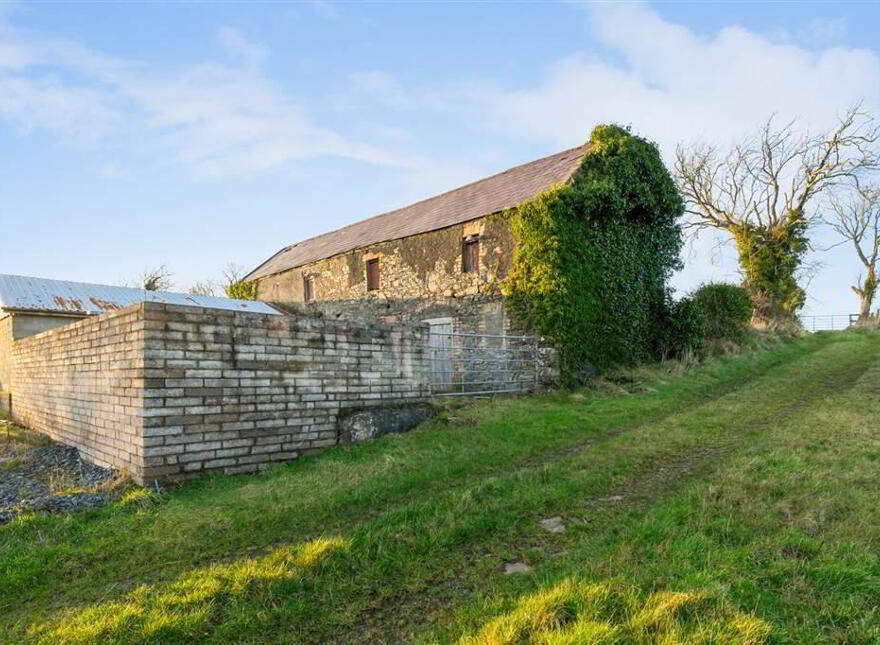 101b Crawfordstown Road, Drumaness, Ballynahinch, BT24 8NA