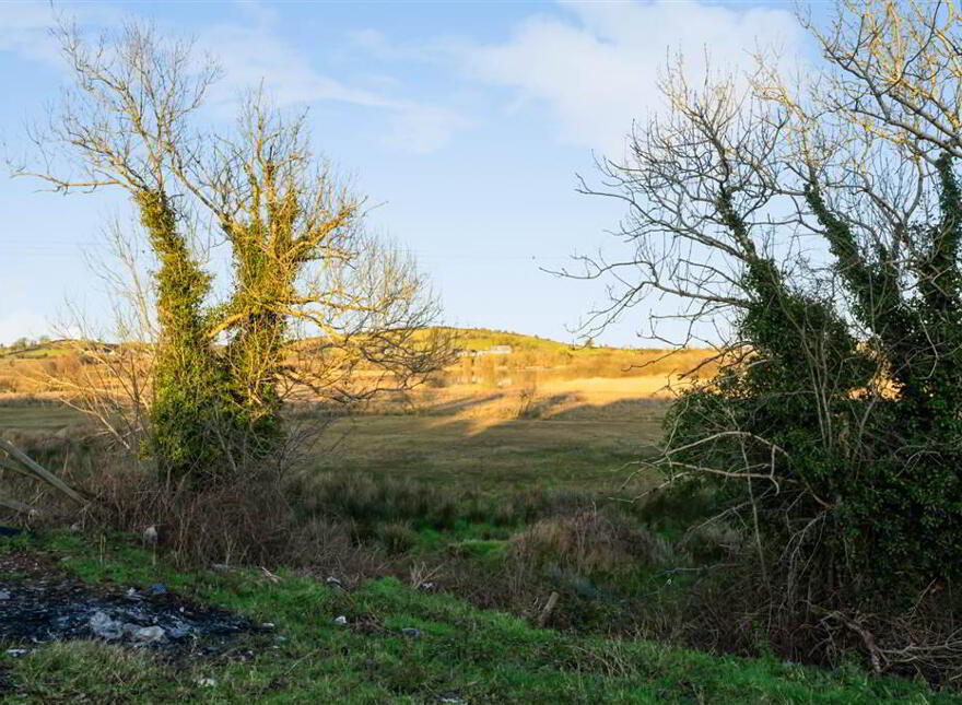 101b Crawfordstown Road, Drumaness, Ballynahinch, BT24 8NA