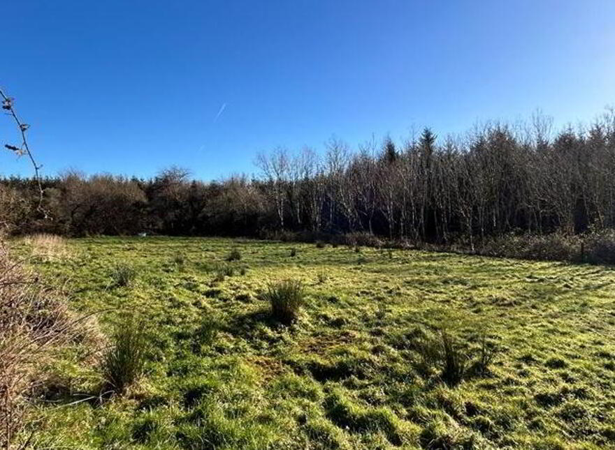 Lisloughna, Swinford, Mayo, F12HN59