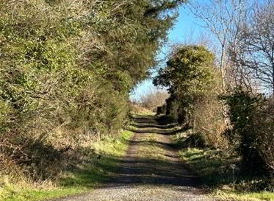 Lisloughna, Swinford, Mayo, F12HN59