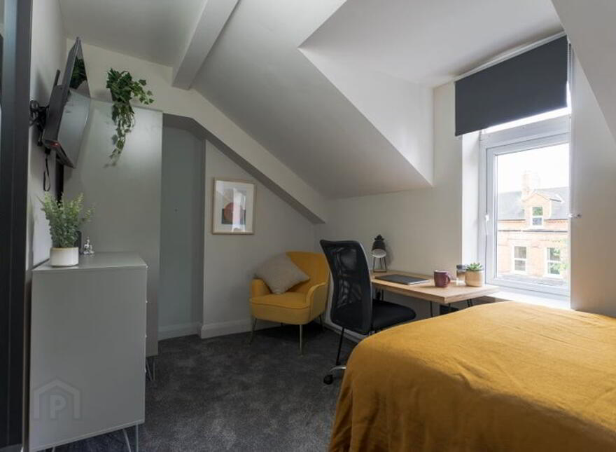 Delhi Street, Delhi Street, Belfast, BT7 3AL