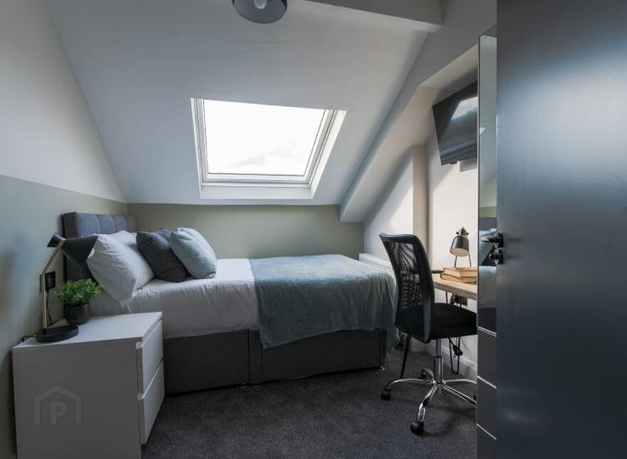 Delhi Street, Delhi Street, Belfast, BT7 3AL