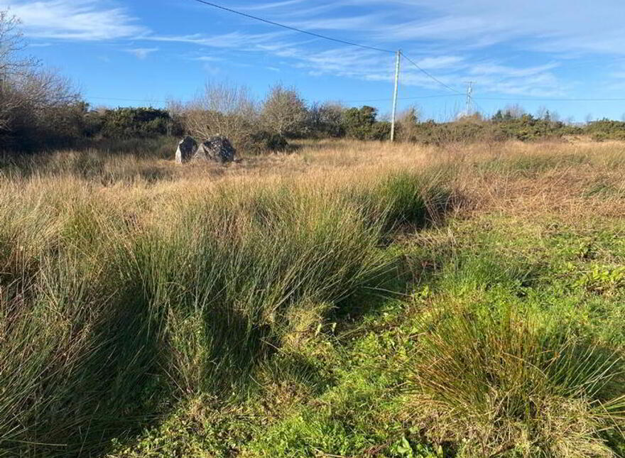 Tullycleave More, Ardara