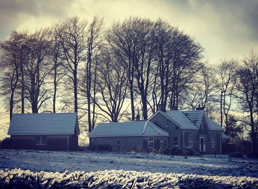 Carnfeogue Lodge, 156a Ballinlea Road, Ballymoney, BT53 8PX