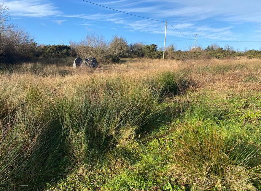 Tullycleave More, Ardara
