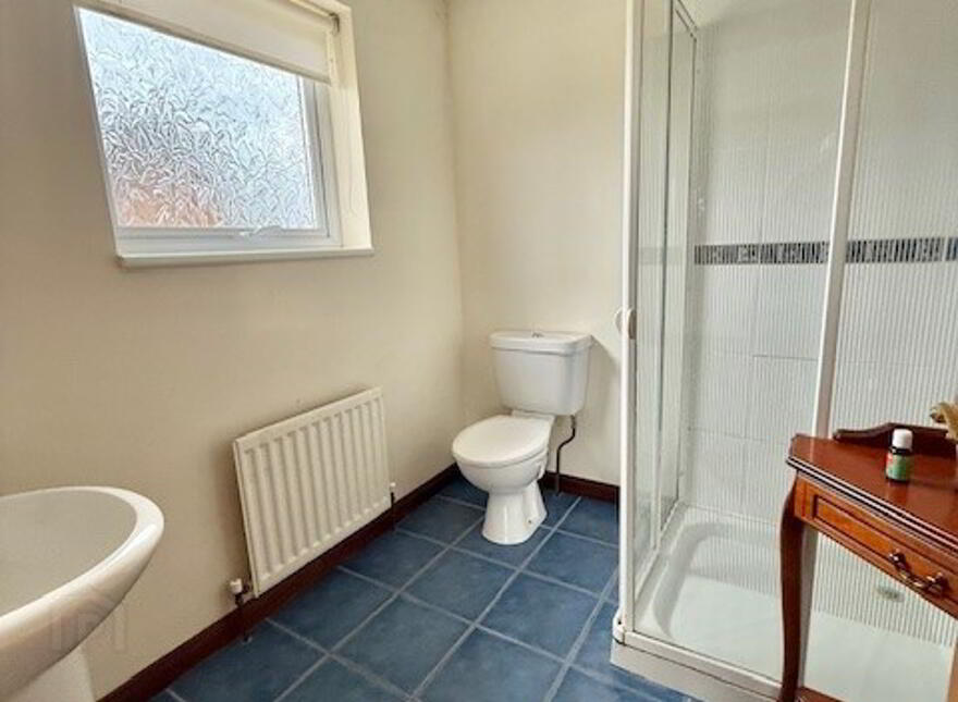 49 Millgrove Park, Eglinton, Derry, BT47 3YU