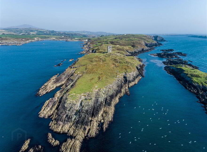 Leamcon, Schull, West, P81XD39