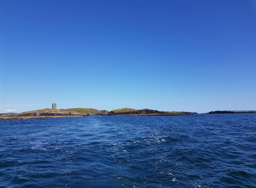 Leamcon, Schull, West, P81XD39