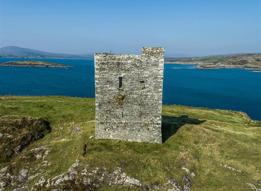 Leamcon, Schull, West, P81XD39