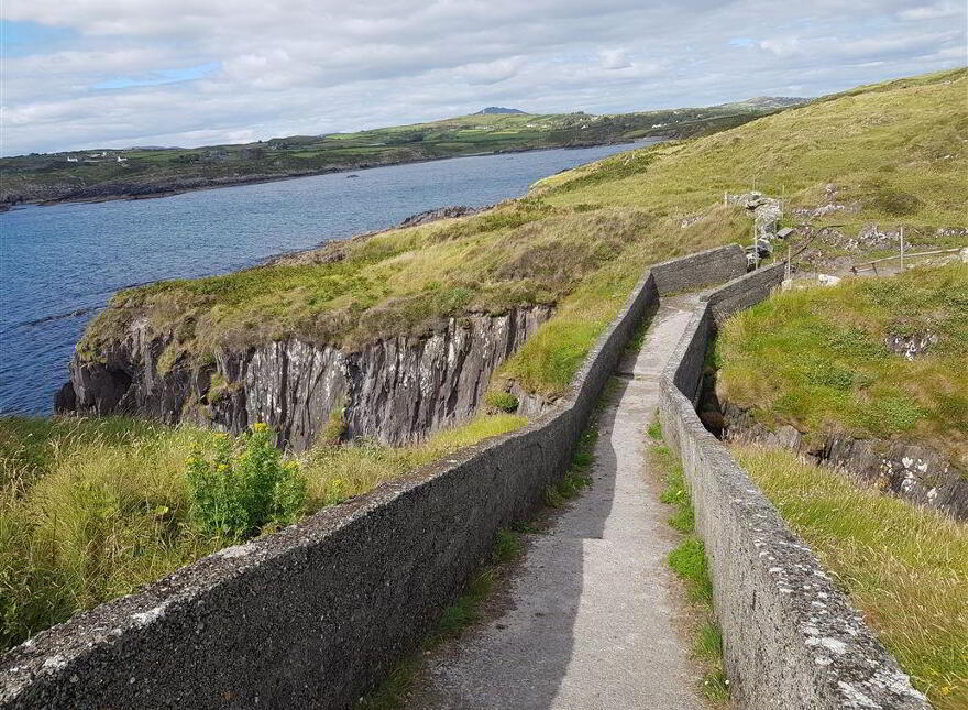 Leamcon, Schull, West, P81XD39