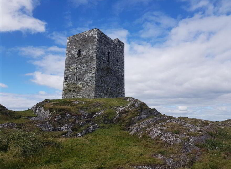Leamcon, Schull, West, P81XD39