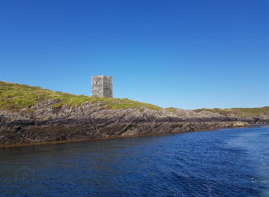 Leamcon, Schull, West, P81XD39