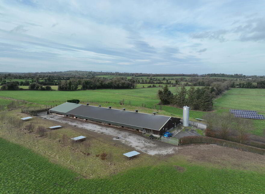 Poultry Farm At Mylestown, Killucan