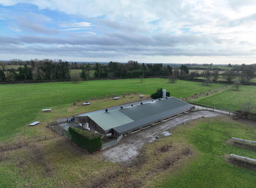Poultry Farm At Mylestown, Killucan