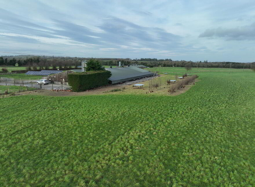Poultry Farm At Mylestown, Killucan