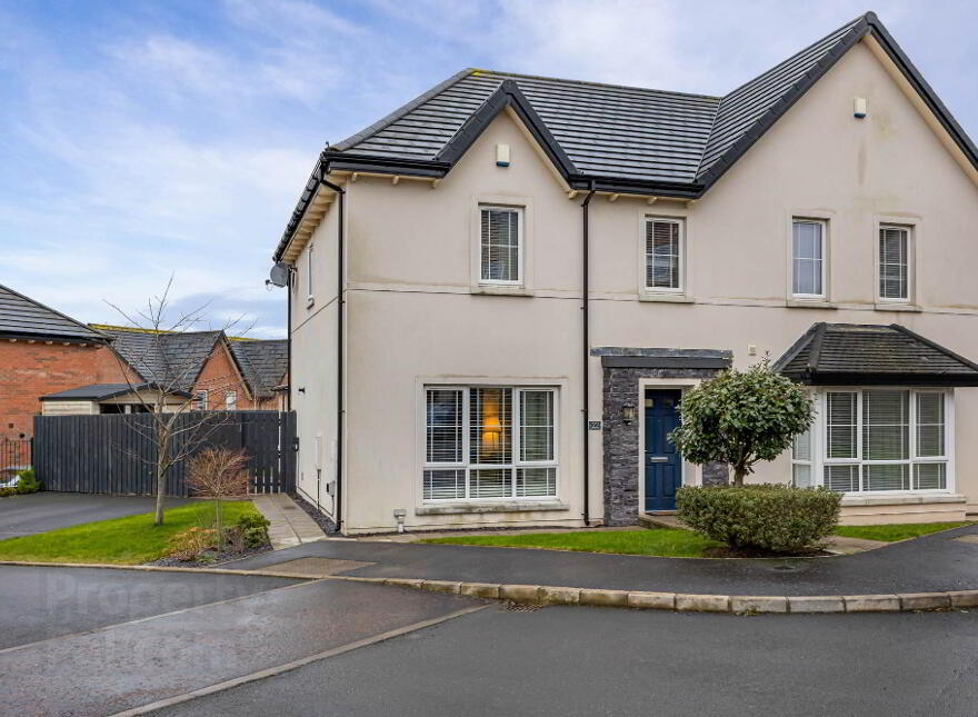 22 Millmount Village Heights, Dundonald, Belfast, BT16 1AN photo