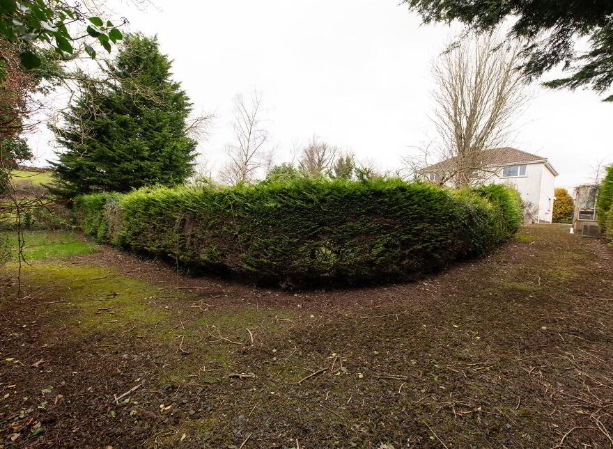 5 Nutgrove Road, Loughinisland, Downpatrick, BT30 8QN