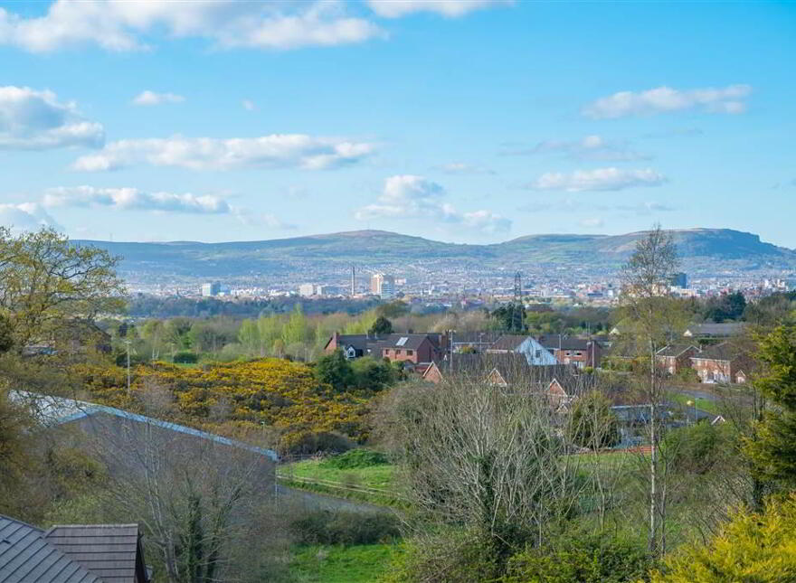 8 Royal Lodge Mews, Off Purdysburn Road, Belfast, BT8 7YT