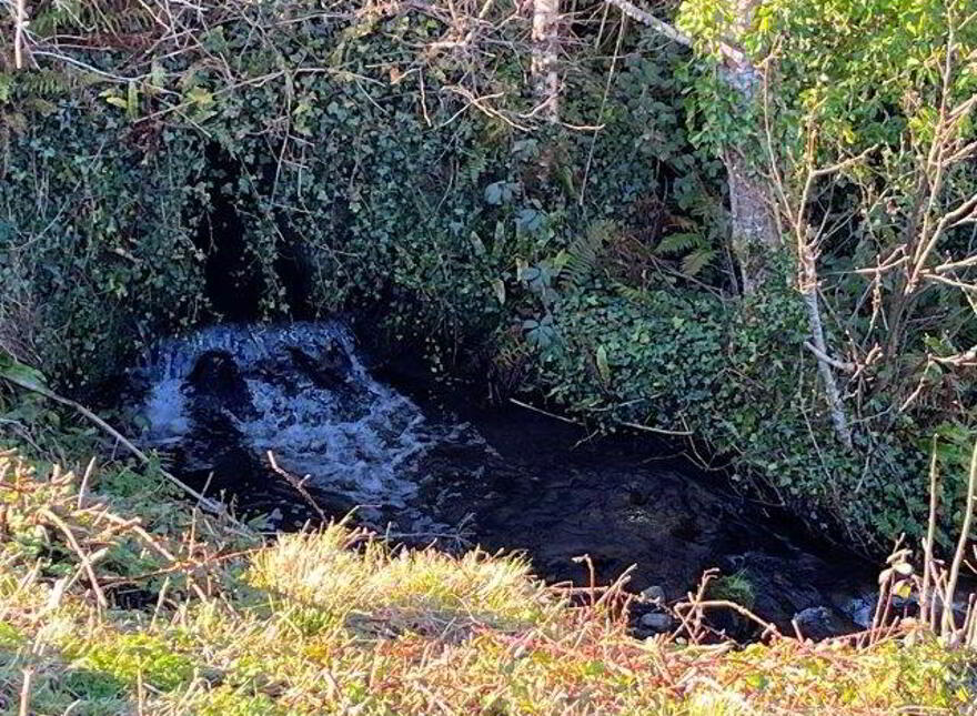 Eagles Rock View", Cloontyprughlish, Largydonnell, F91Y8C0