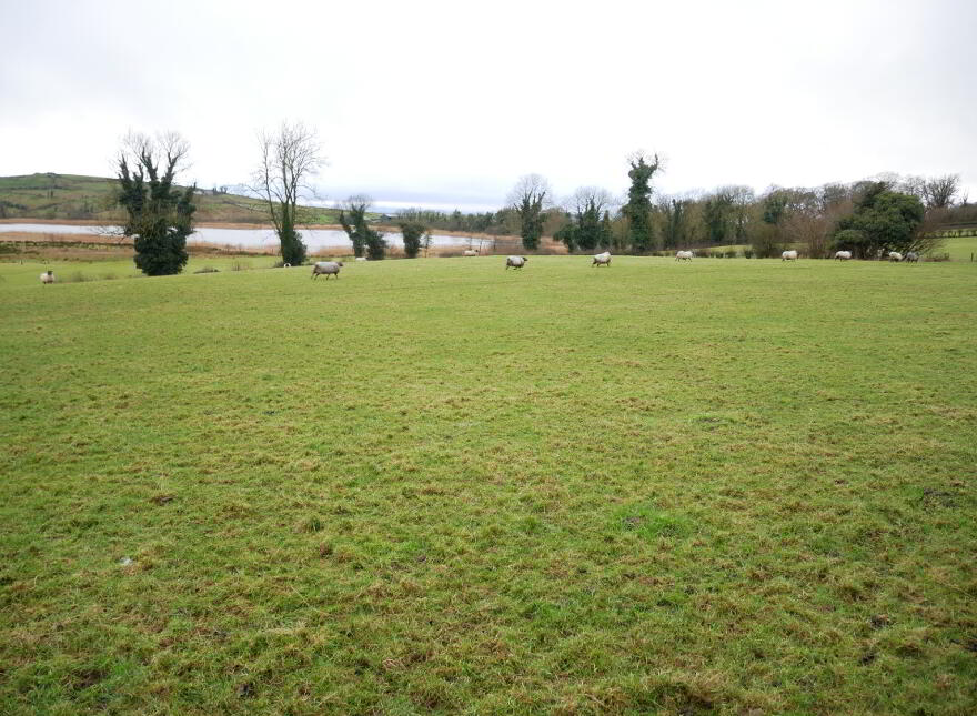 Site, 17 Carn Road, Slievebane, Ederney, BT93 1BY