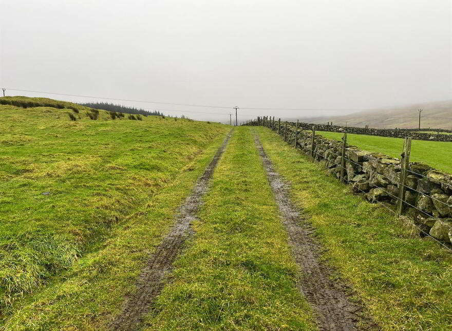 Mature & Immature Sitka Spruce Forest, Mullaghsandall Road, Larne, BT40 2LX