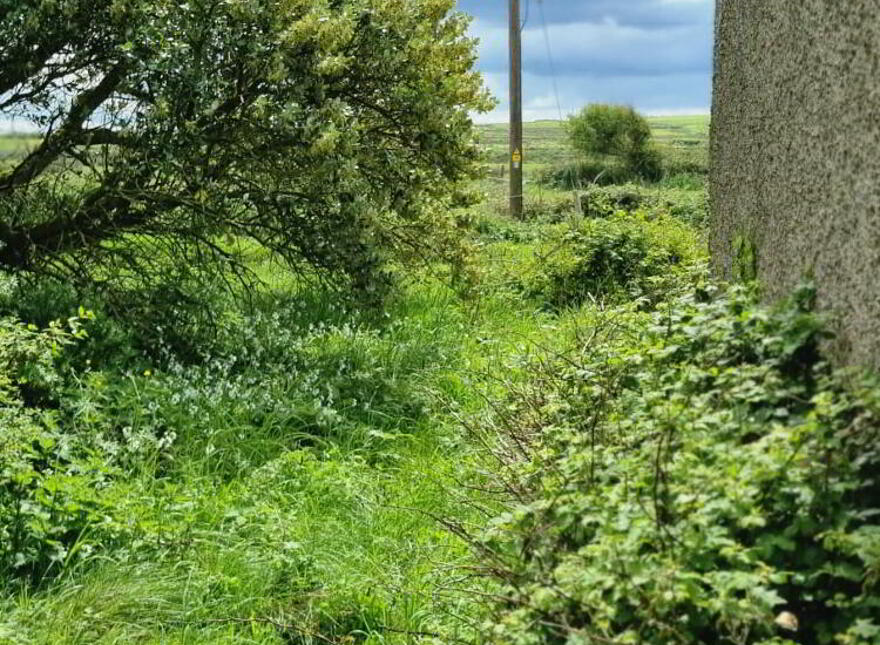 Rehy West, Cross, Kilrush,Clare
