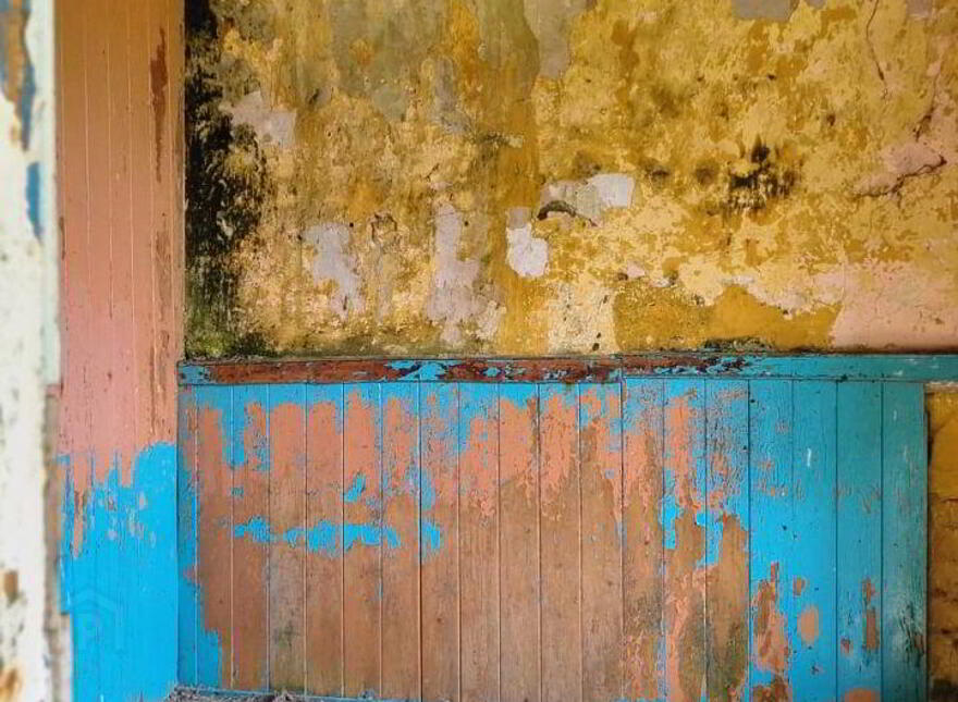 Rehy, Kilrush