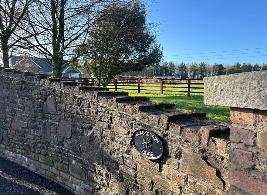 Blackberry Lodge, Newtown, Rathasker Road, Naas, W91E1XE