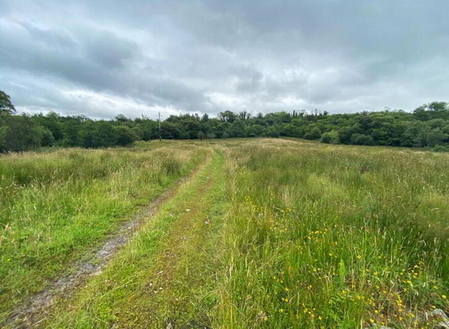 Birchill, Barnesmore