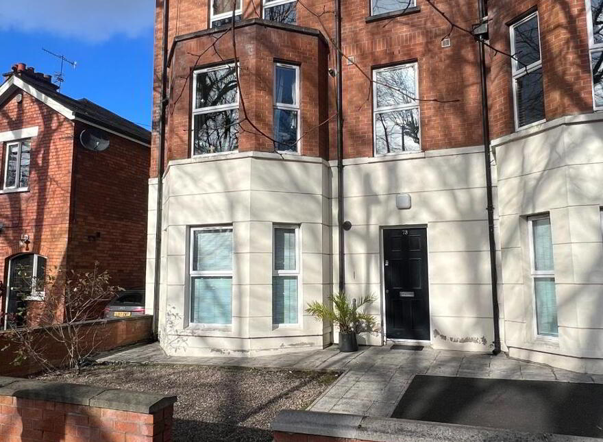 Unit 1, 73 Ulsterville Avenue, 6 Month Lease, Belfast, BT9 7AT photo