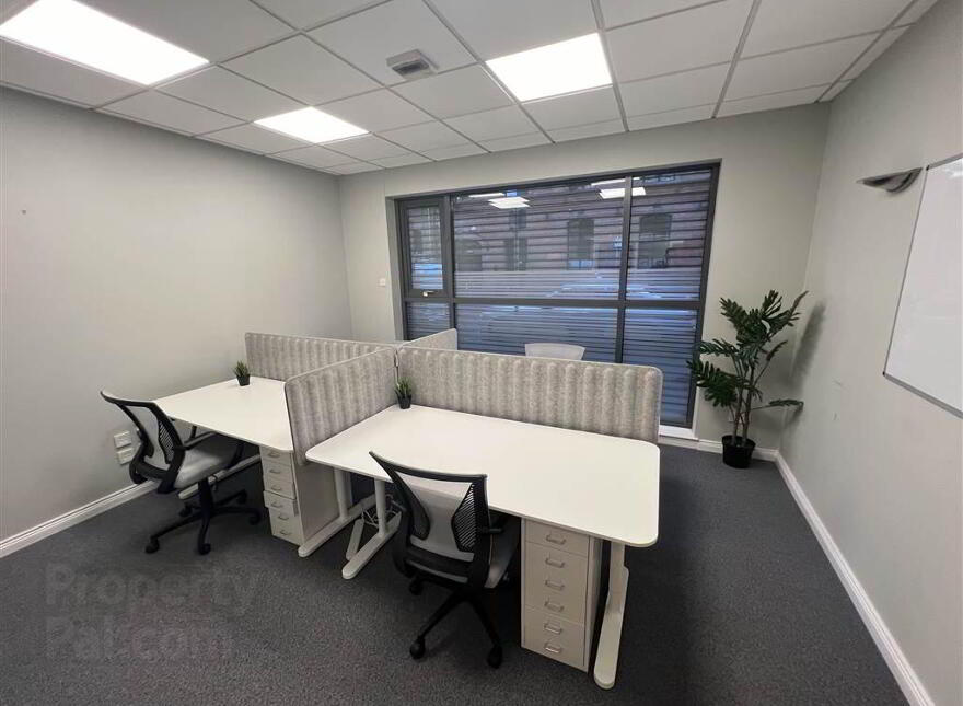 28 Adelaide Street- Suite 3, Belfast, BT2 8GD photo