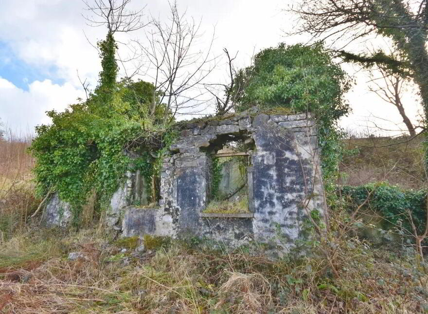Ballinruddery, Listowel