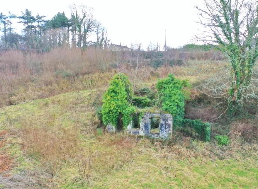 Ballinruddery, Listowel