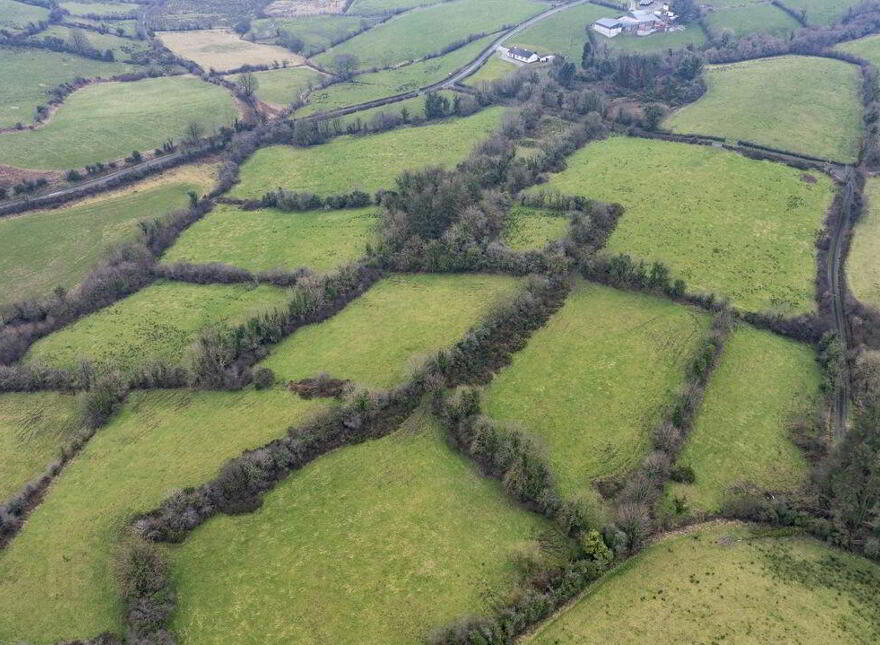 Rathrussan Kill Cootehill, Cootehill