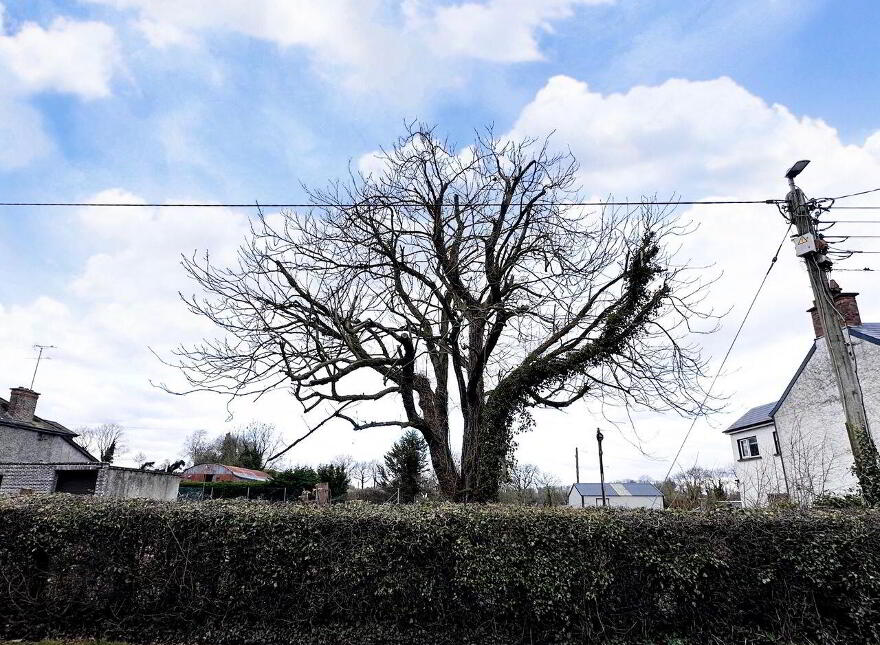 Clonedergole, Newtownbutler Road, Clones