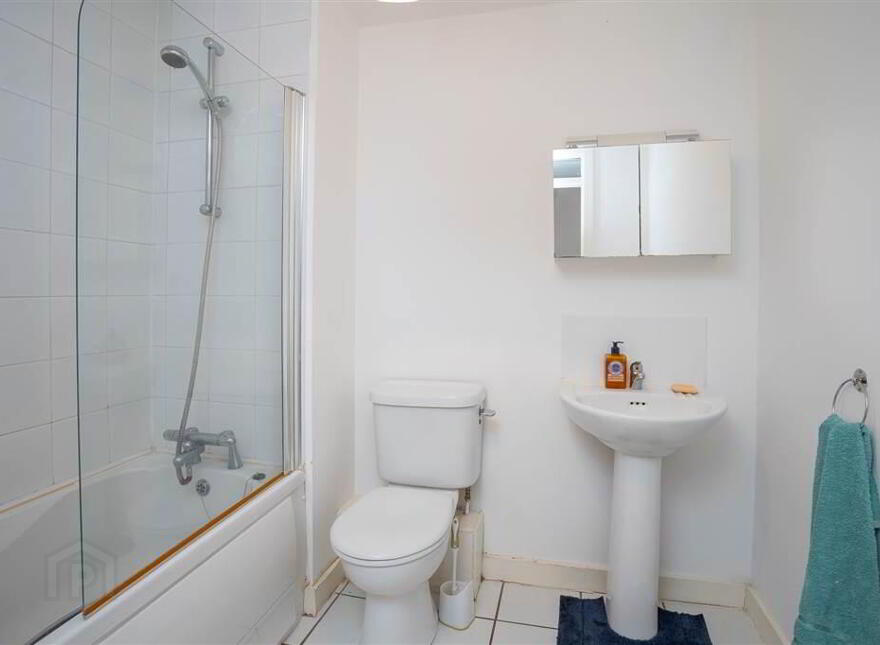 20 Park Royal, Balmoral, Belfast, BT9 7GY