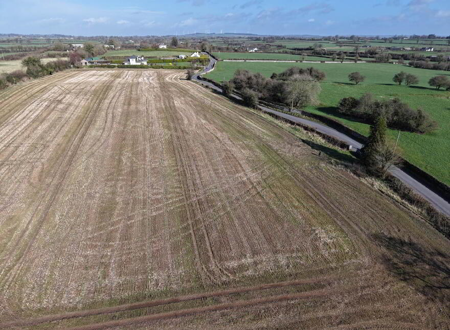 Lowesgreen, Rosegreen, Cashel photo