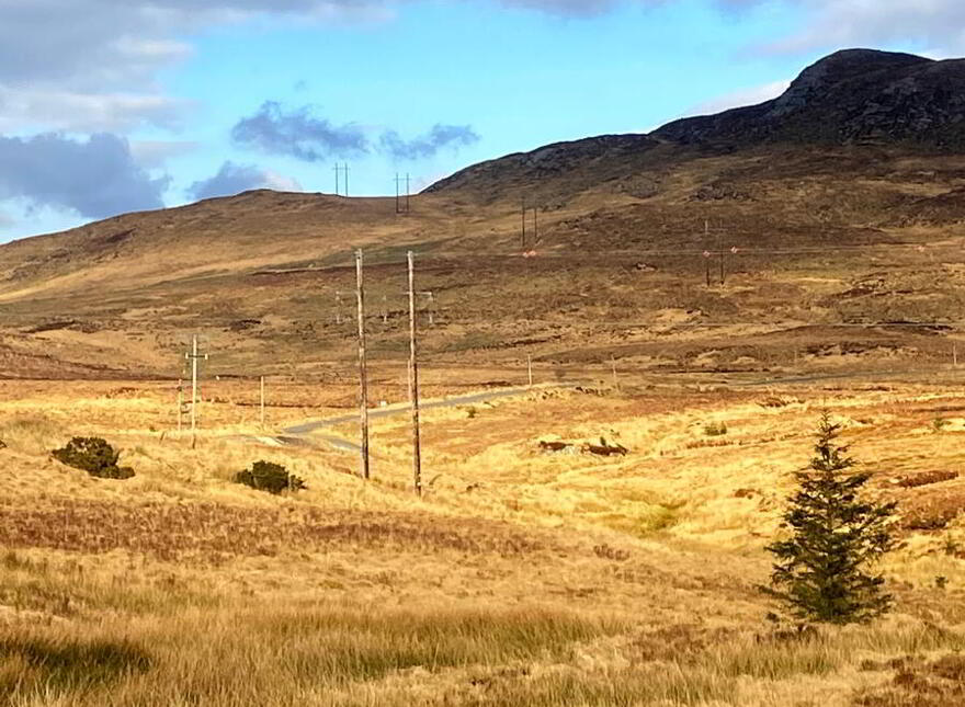Shallogan More, Fintown, F94E927