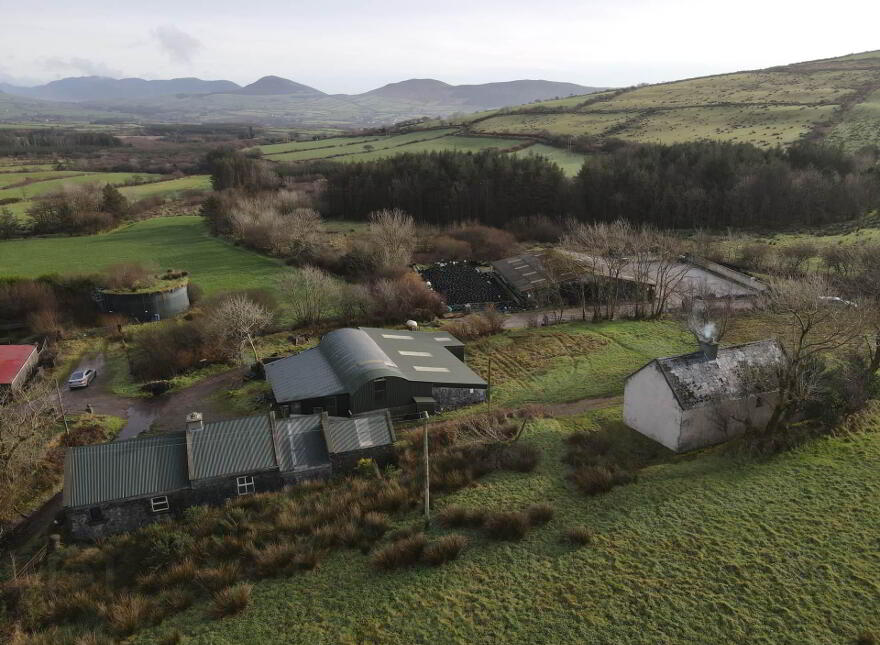 Annascaul, Coole