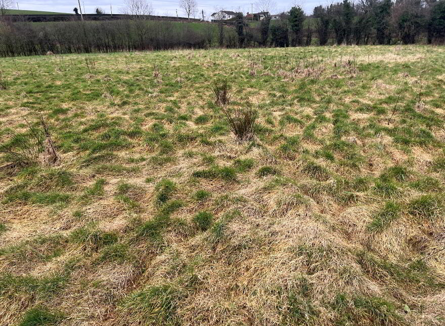 Tullyraine, Shantonagh, Carrickmacross photo