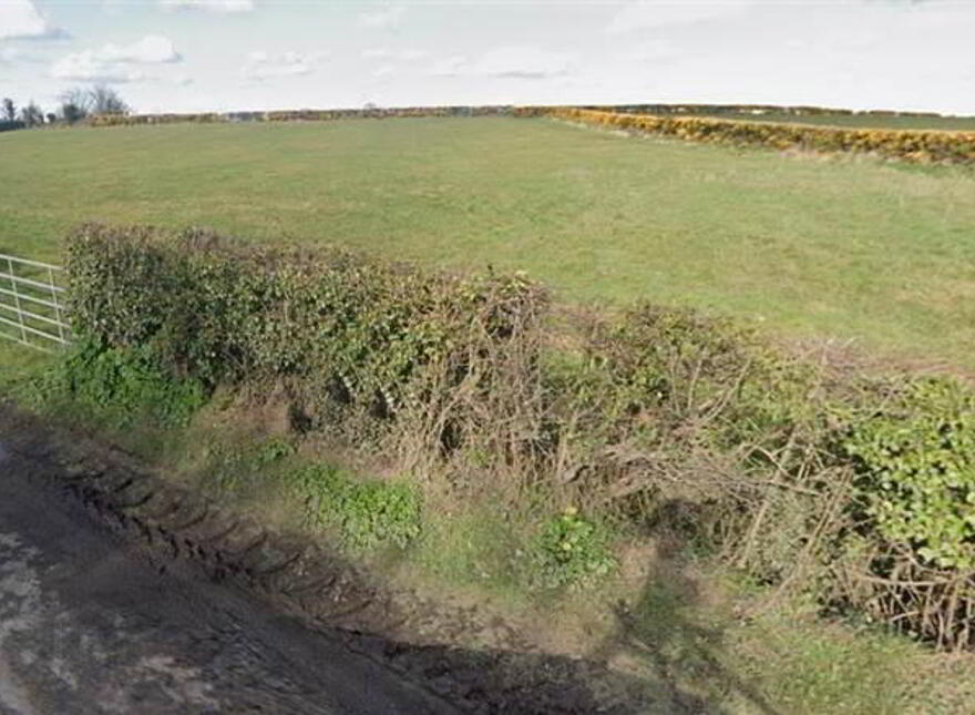 3.82 Acre Field Adj To, 49 Drumfad Road, Millisle, BT22 2JA