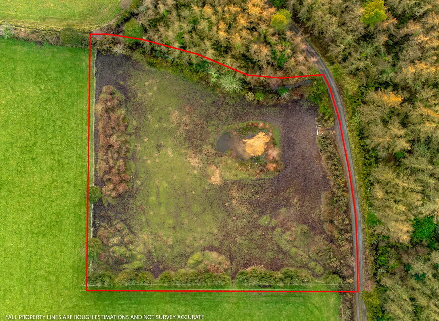 Tigroney East, Avoca, Arklow