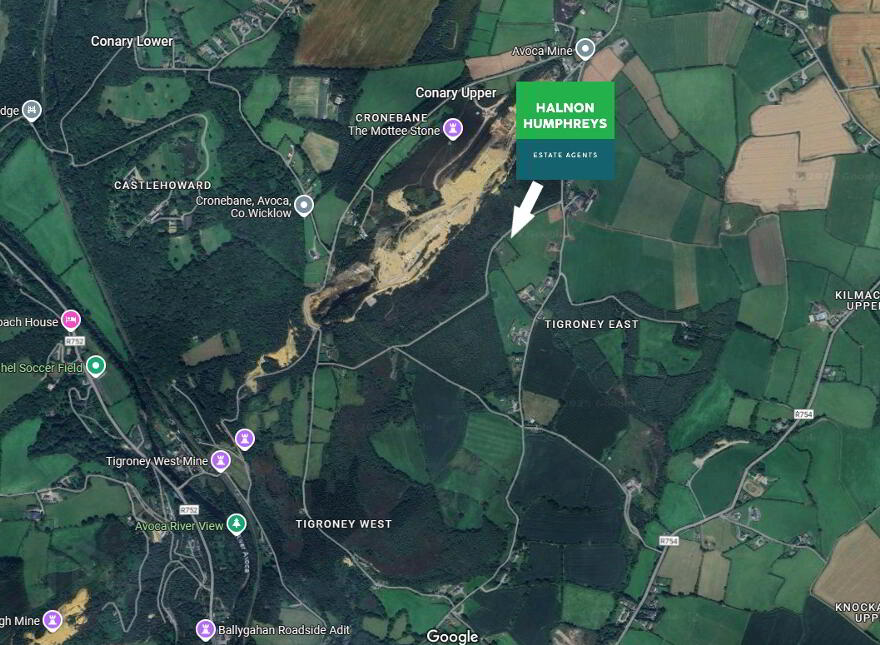 Tigroney East, Avoca, Arklow