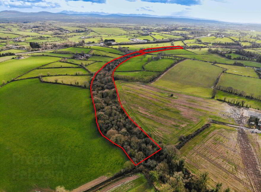 Old Railway Cutting, Taughblane Road, Hillsborough, BT26 6JA photo