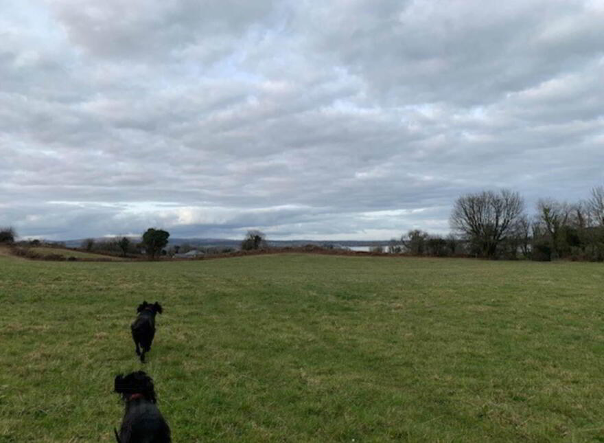 52 Acres (, 21 Ha), Aughinish, Ogonnelloe, County Clare, V94XY71 photo