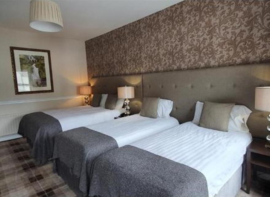 The Nesbitt Arms Boutique Hotel, Main Street, Ardara, F94X0RN