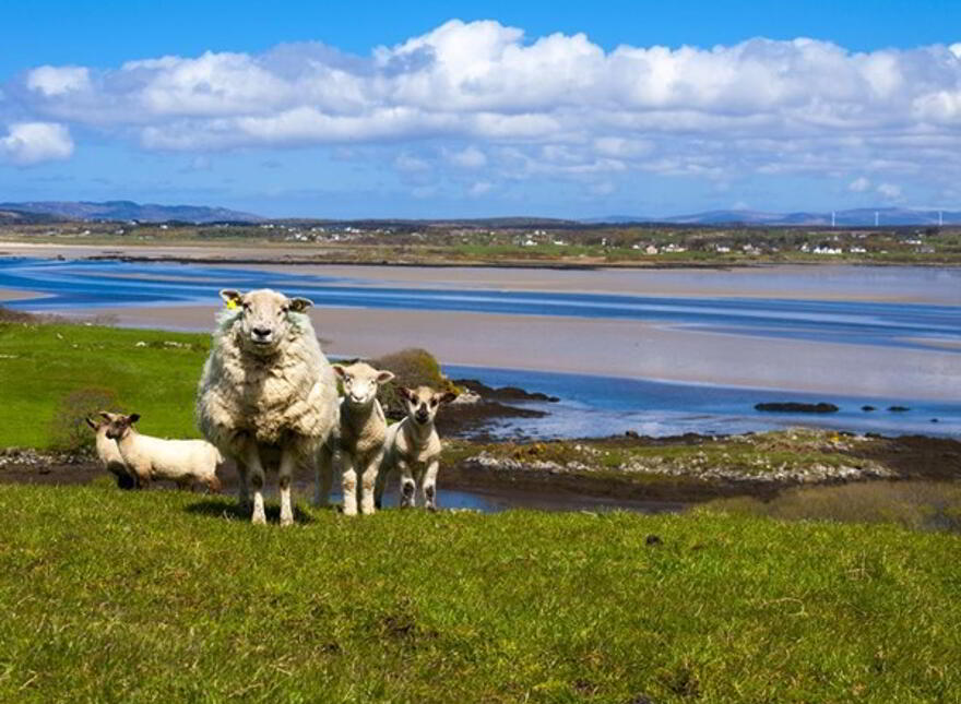 The Nesbitt Arms Boutique Hotel, Main Street, Ardara, F94X0RN