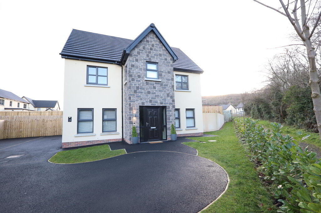 Photo 1 of 16 Carnlea Wood Glen, Newtownabbey