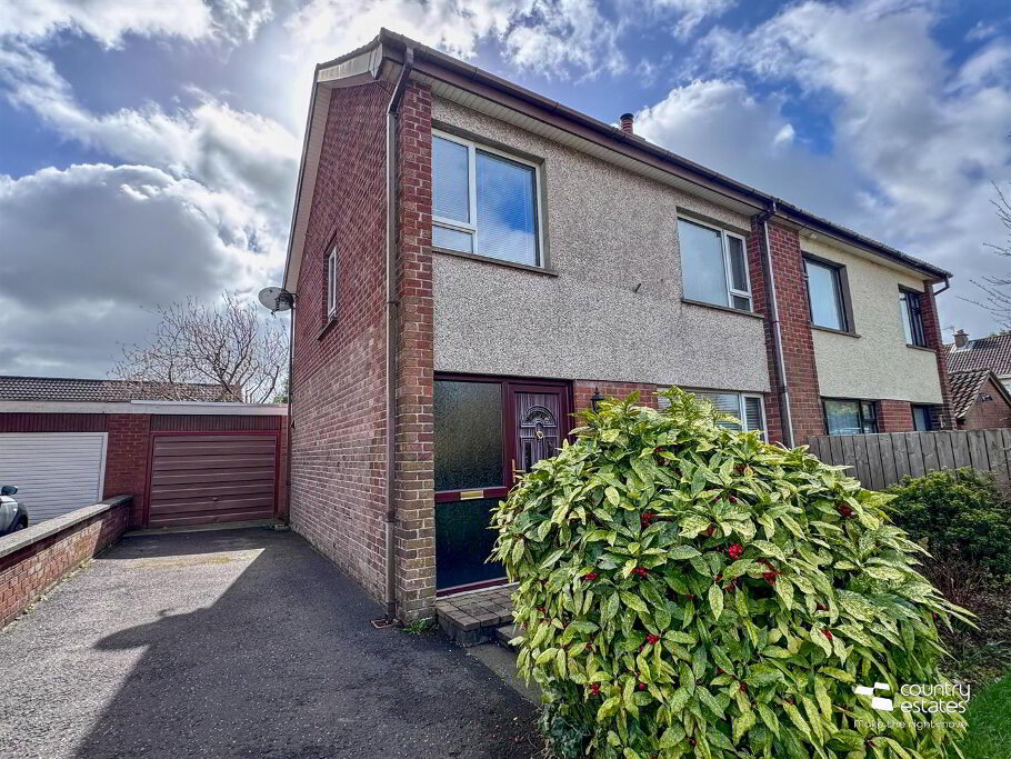 Photo 30-03-2026, 12 29 54-2.jpg